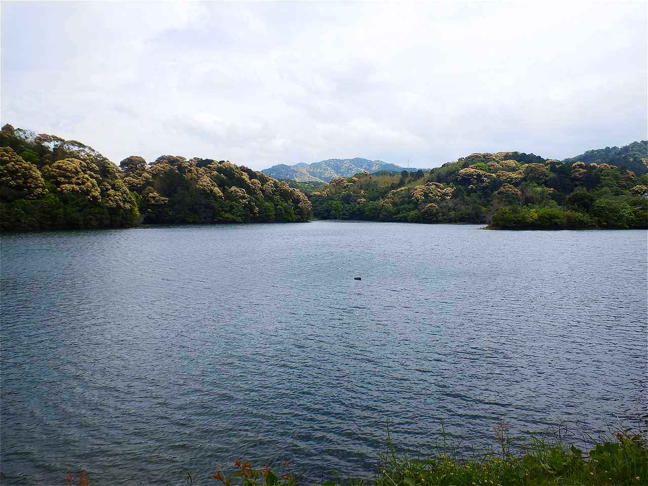 亀池